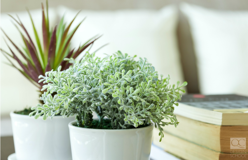 Plants to use for interior decorating