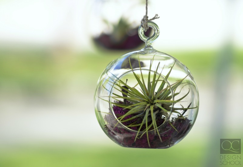 floating terrarium green decorating