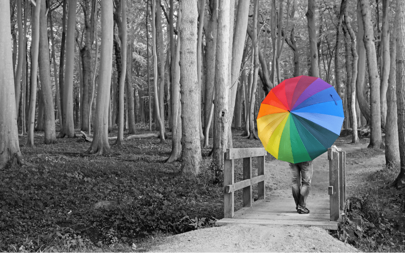 black and white image of forest, with man walking over bridge carrying rainbow umbrella