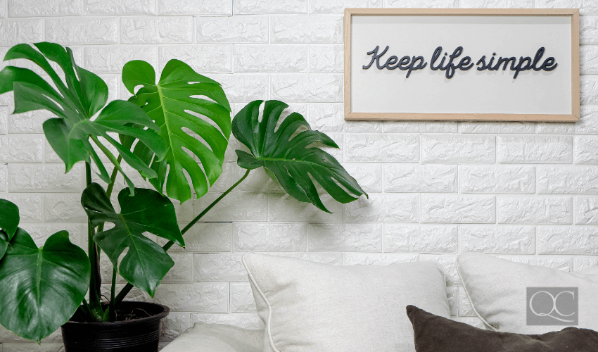 plant and keep it simple sign on wall