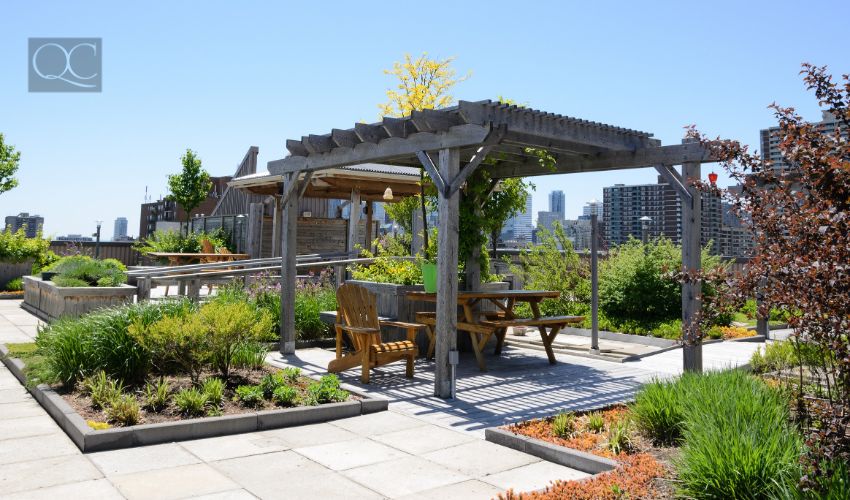 Rooftop garden in urban setting