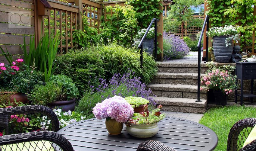 Small townhouse perennial summer garden.