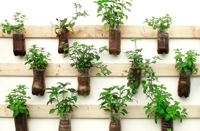 Hanging herb garden