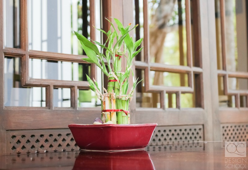 adding plants for a fast feng shui cleanse