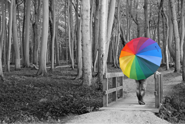 black and white image of forest, with man walking over bridge carrying rainbow umbrella