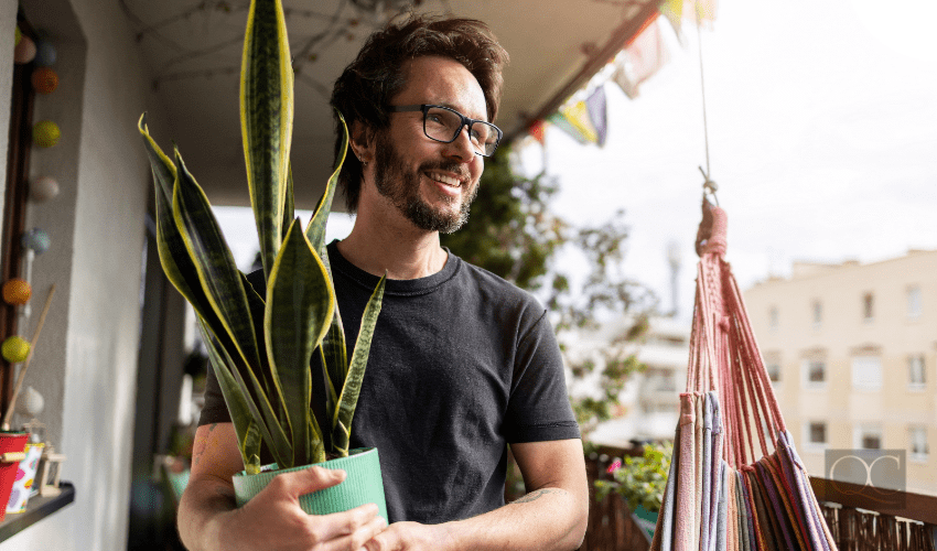 feng shui man holding potted plant on balcony