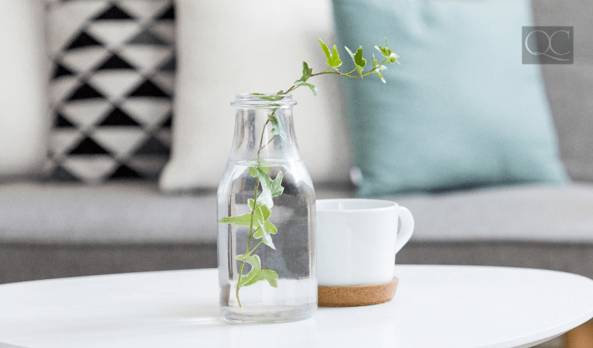 greenery in glass on coffee table