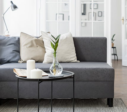 Couch and coffee Table