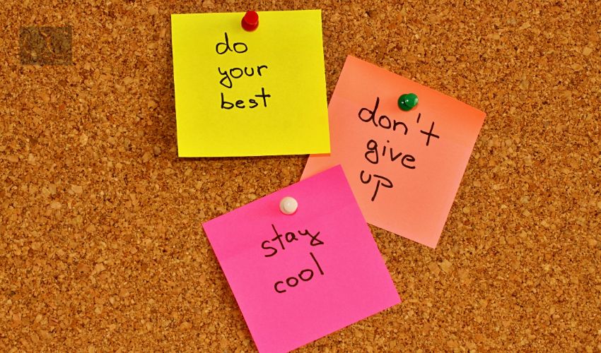 Cork notice board with three colourful sticky note pads