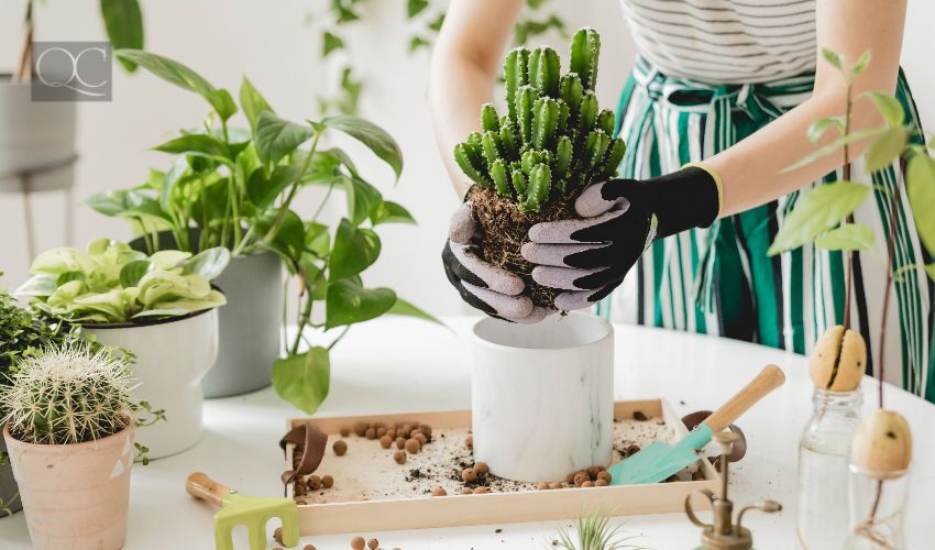 Interior decorating trends in 2022, home gardening