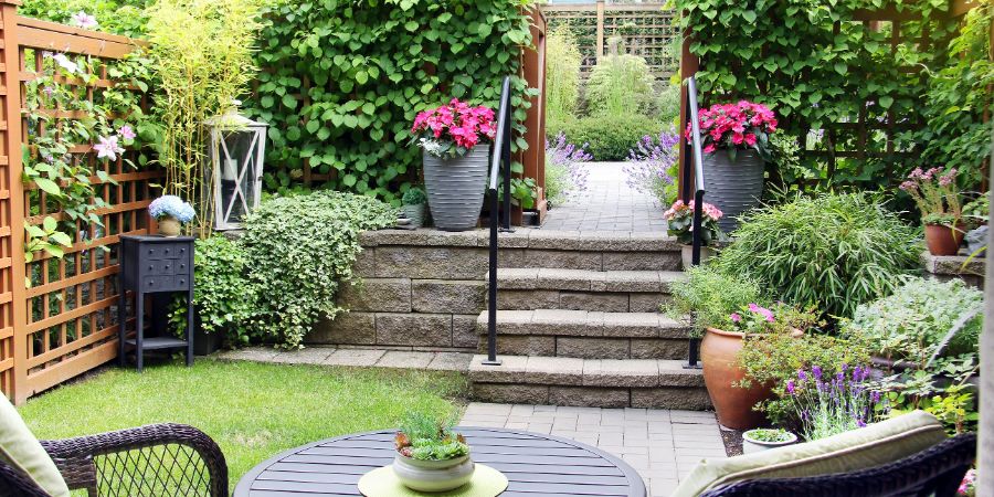 Small summertime townhouse garden, with blooming perennial lavender and begonia flowers. Landscape design article.